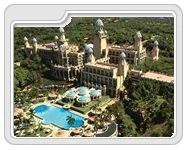 sun-city-t.jpg