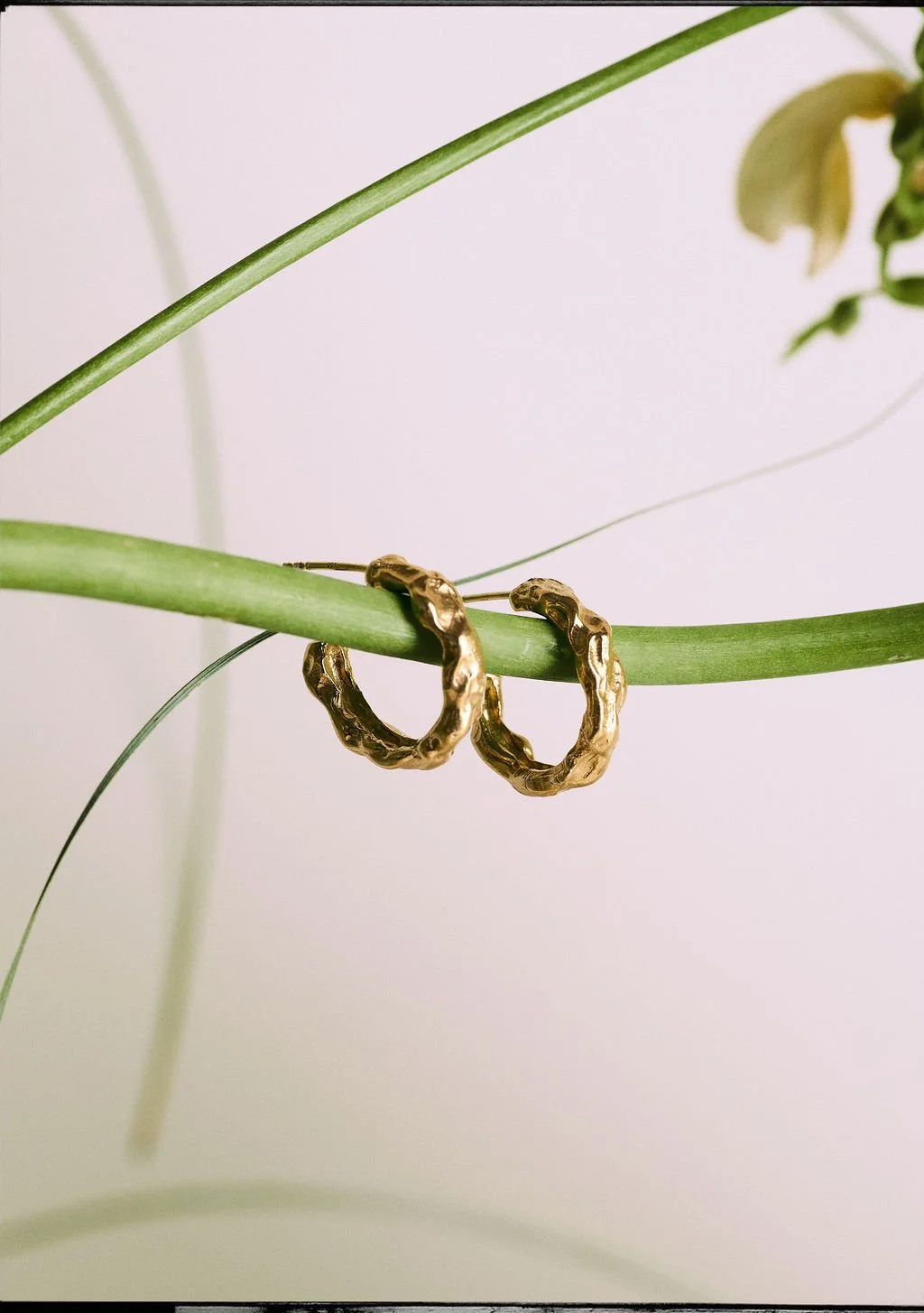 LaiaJoyas0668.jpg