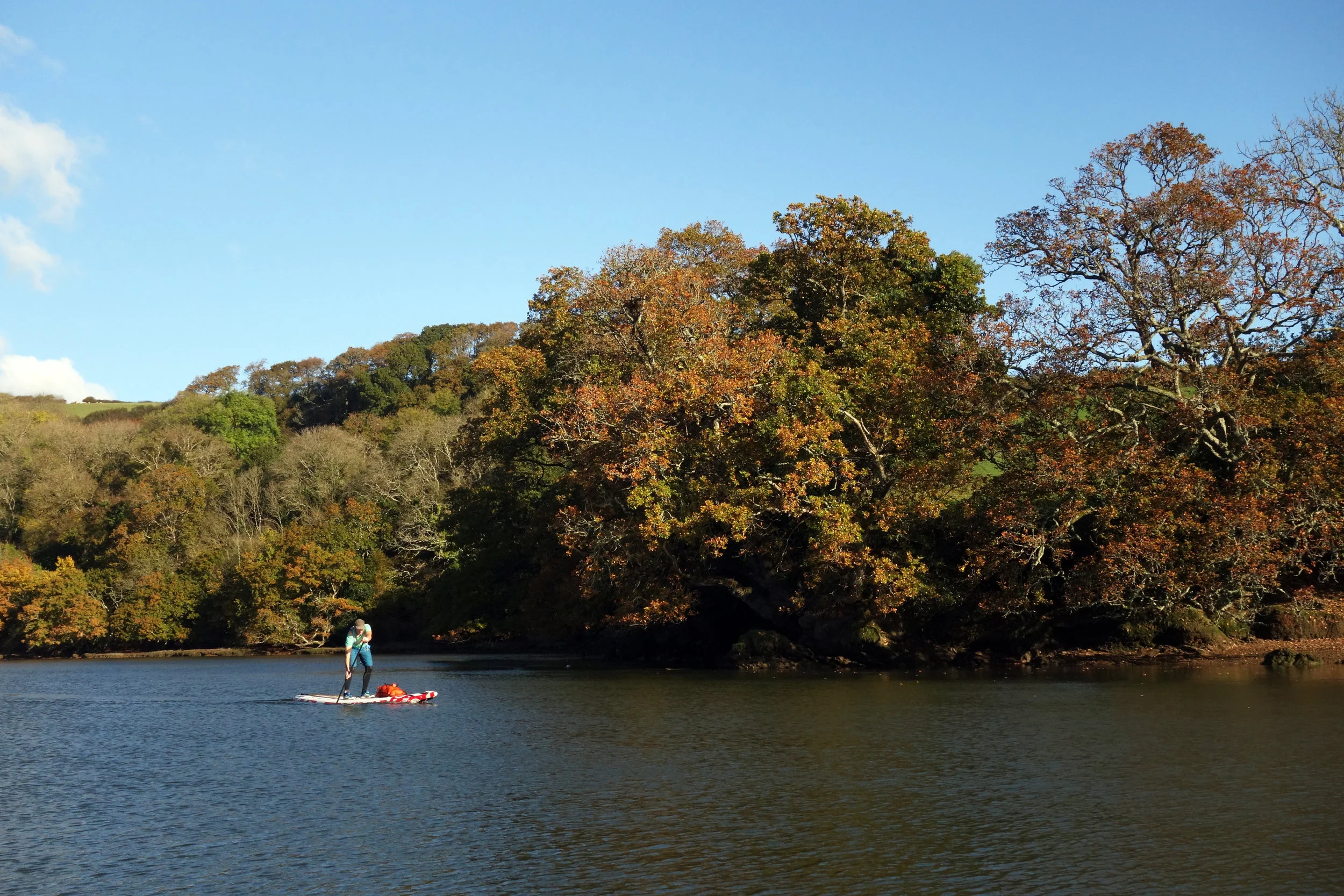 An autumn morning on the Dart estuary, Devon