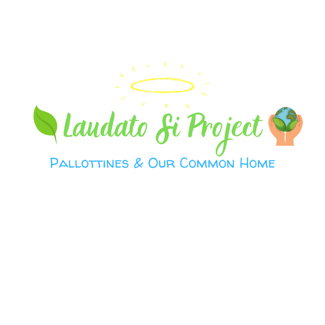 Website_LaudatoSiProject_Logo (1).png