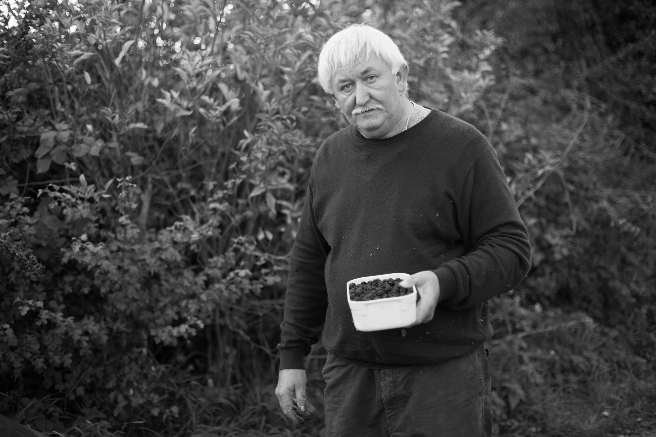 David picking blackberries. Laxton Road. September 2011.