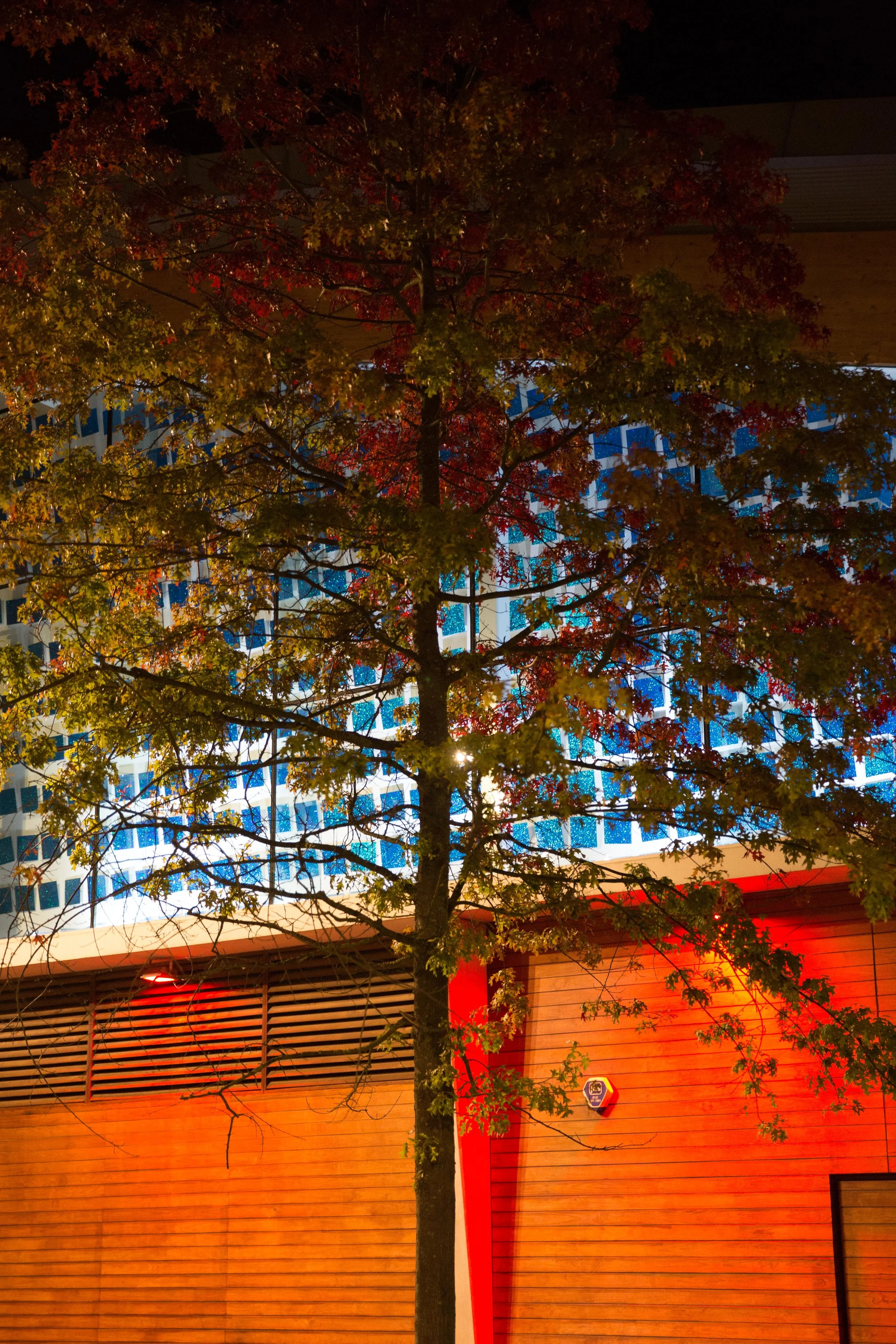  Corby International Swimming Pool. 