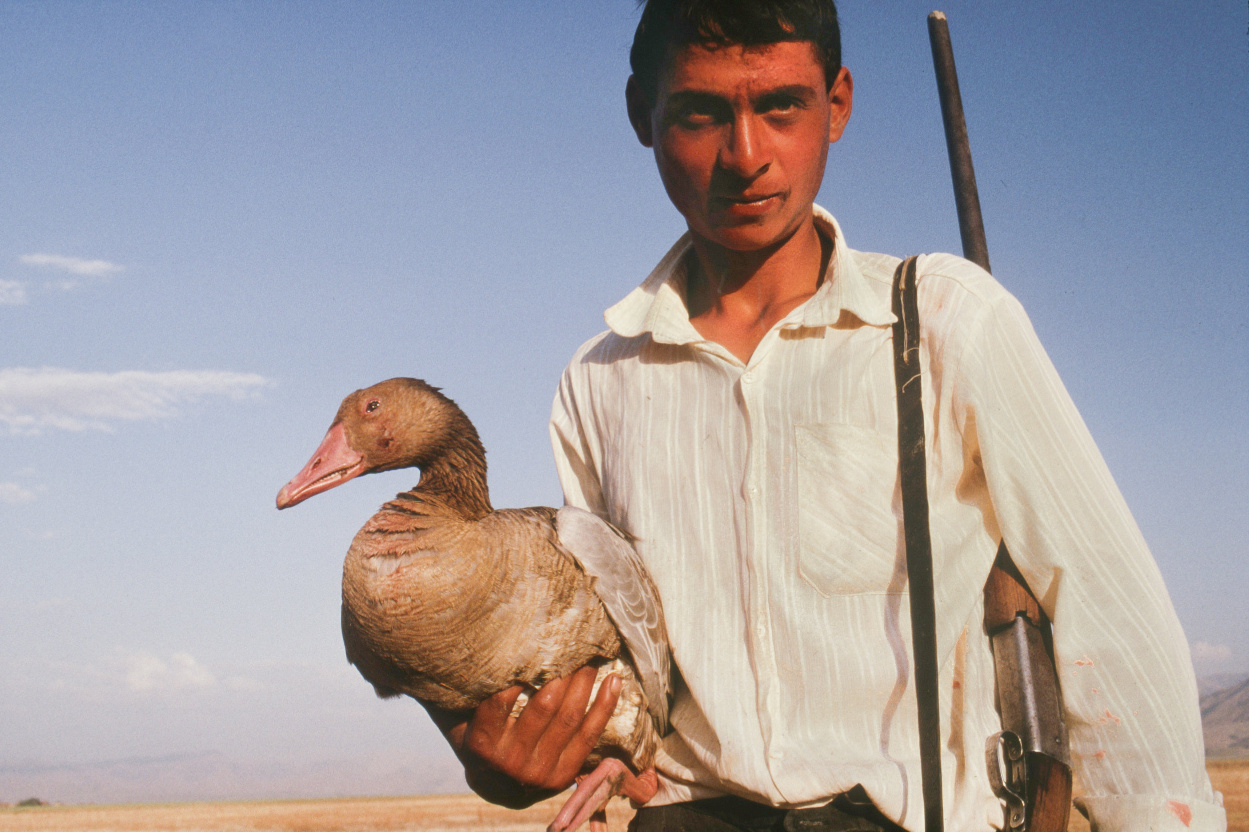 Herdsman. Yuksekova, Turkey