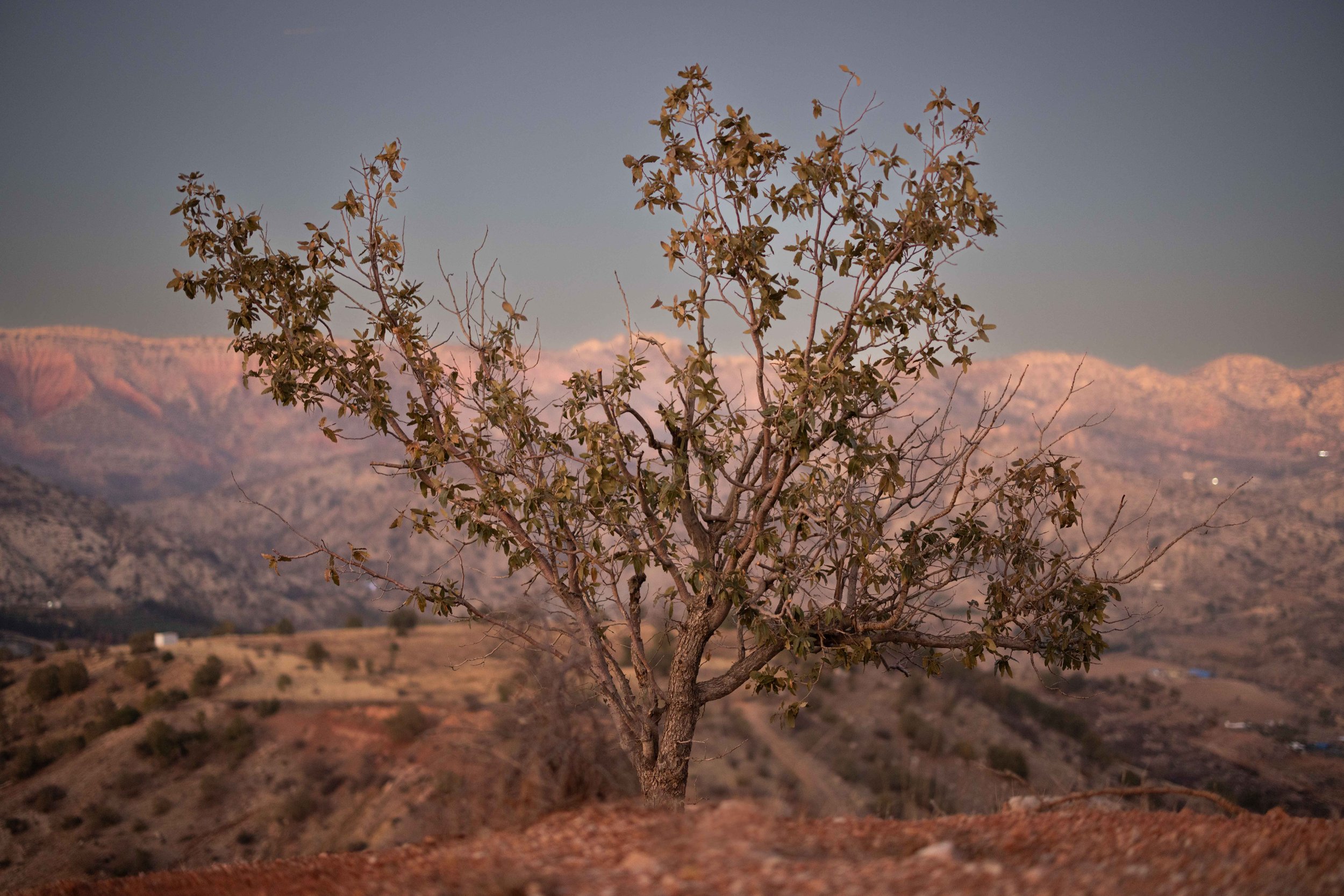  Duhok, Northern Iraq. Kurdistan 2025 