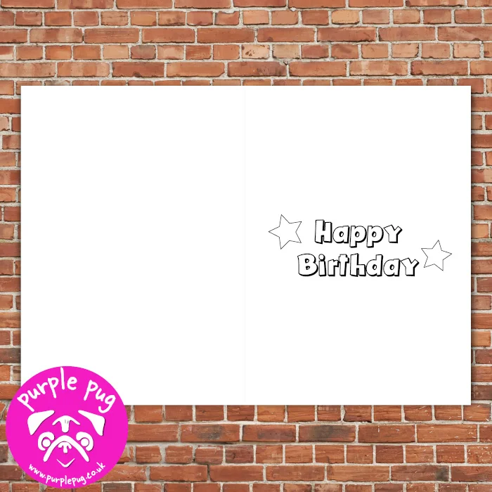 PH091 Happy Birthday Fur Baby WI.jpg