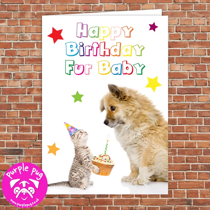 PH091 Happy Birthday Fur Baby WF.jpg