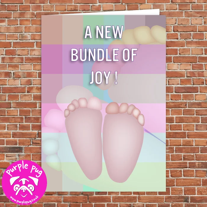 PA010 A New Bundle Of Joy Feet WF.jpg