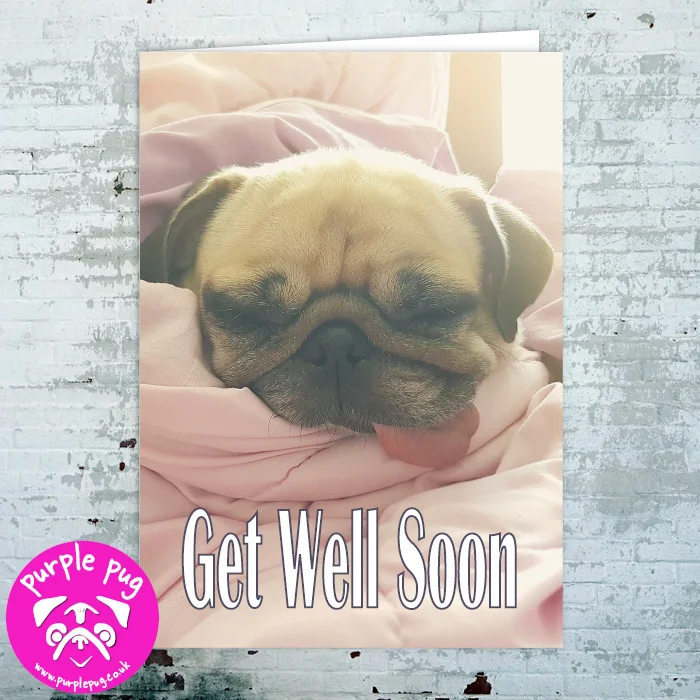 PH095 Premium Get Well Soon WF.jpg