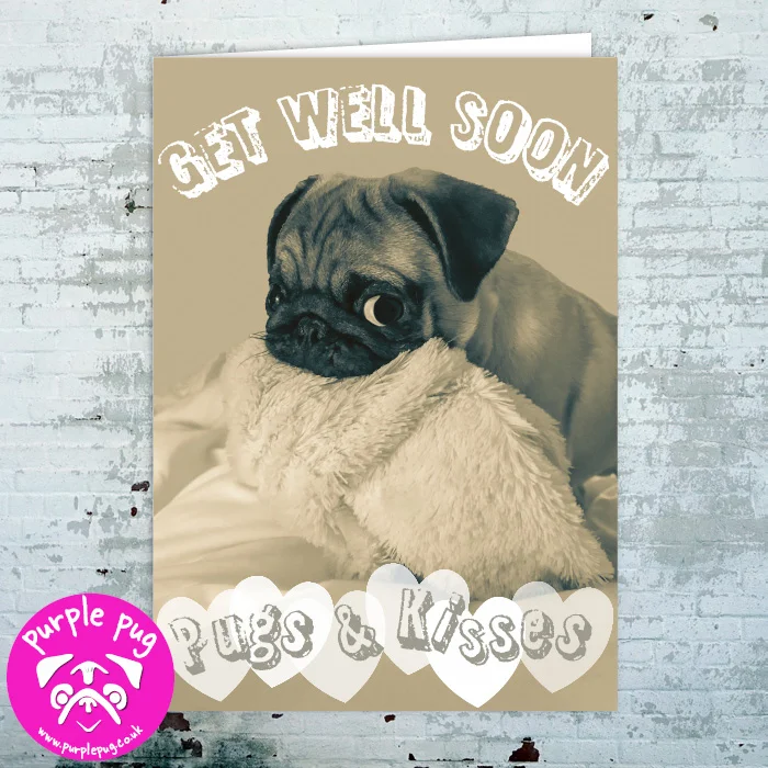PH001 Premium Get Well Soon Pug WF.jpg