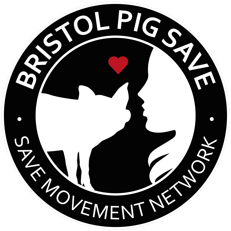 Bristol Animal Save