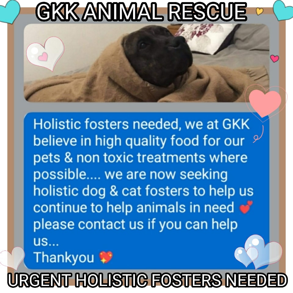 GKK Animal Rescue &amp; Animal Rights