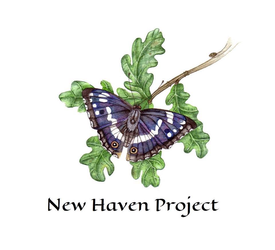 New Haven Project