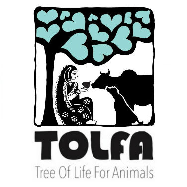 TOLFA - Tree of Life for Animals