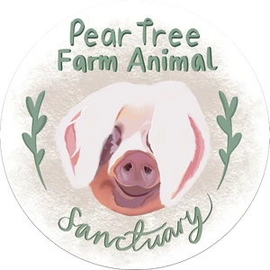 Pear tree farm animal sanctuary