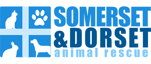 Somerset and Dorset Animal Rescue