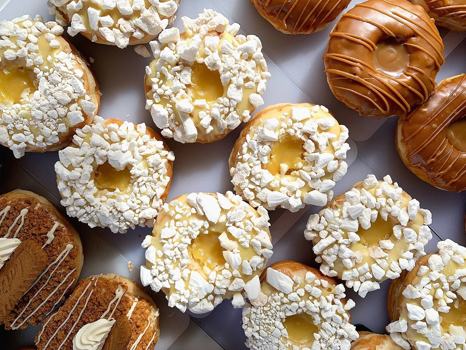 Newquay Vegan Market 2026