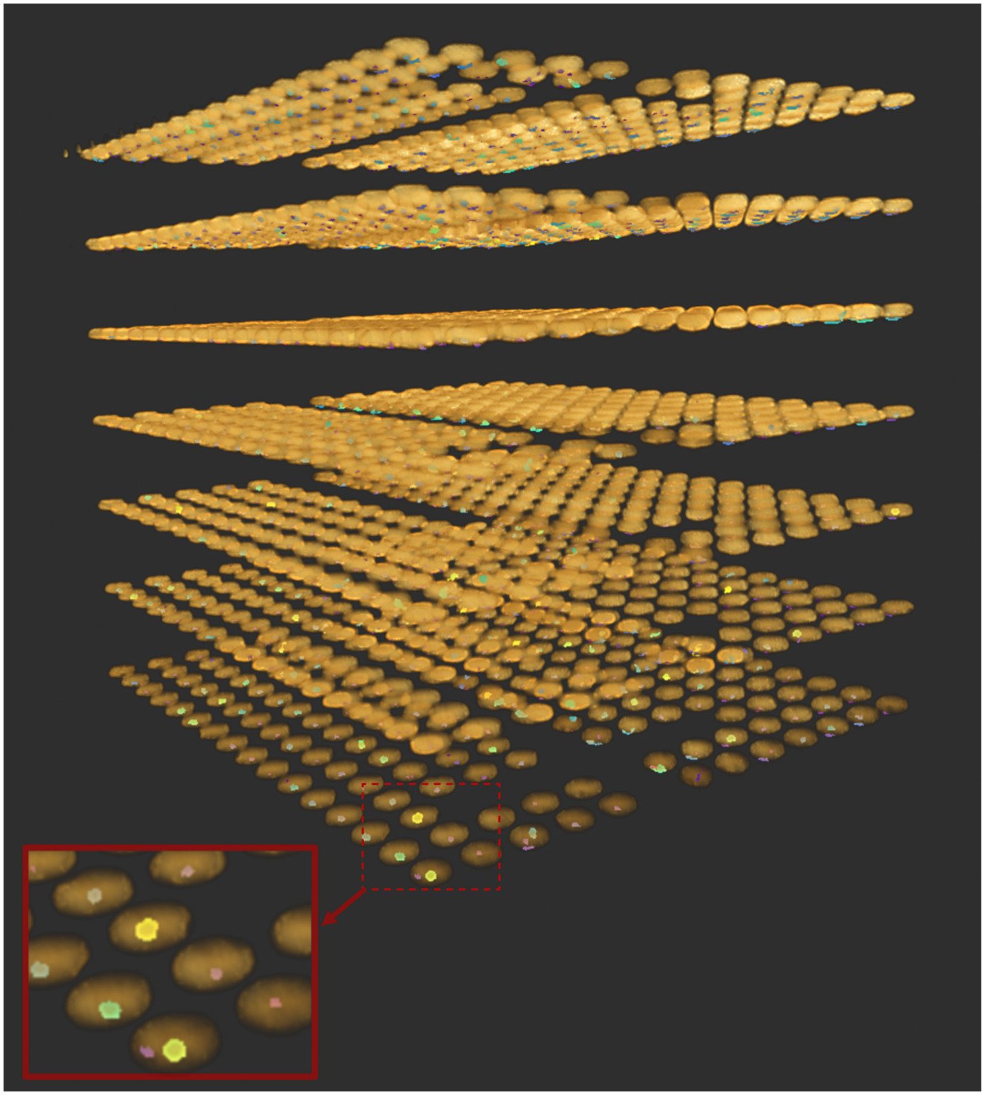 High bandwidth memory