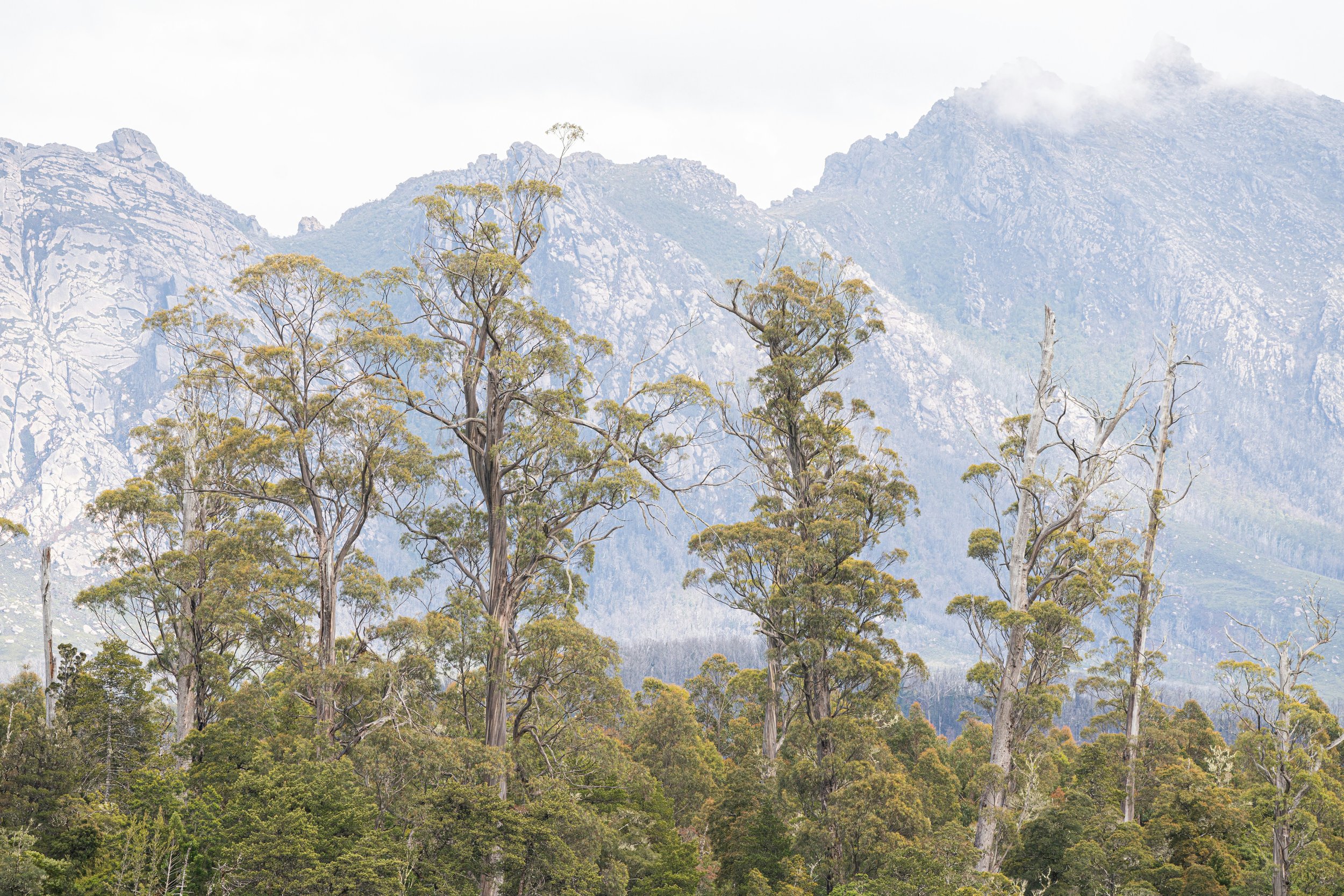 What if changing the world was more like caregiving than war?