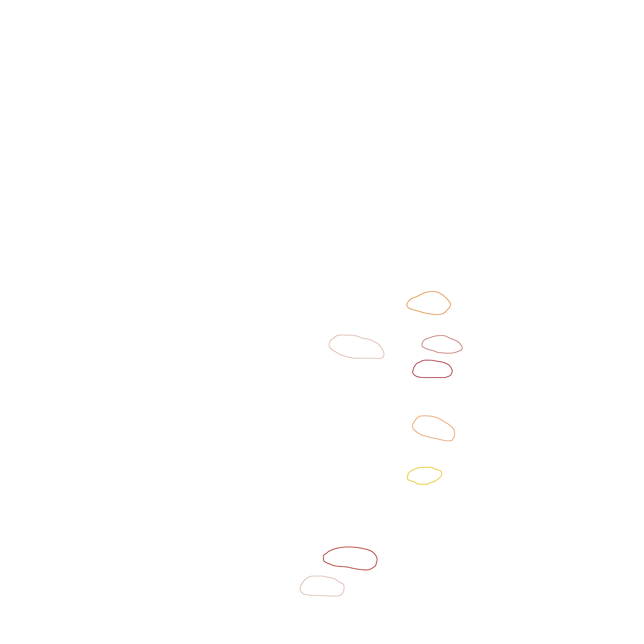 B&L-Animation-Sm.gif