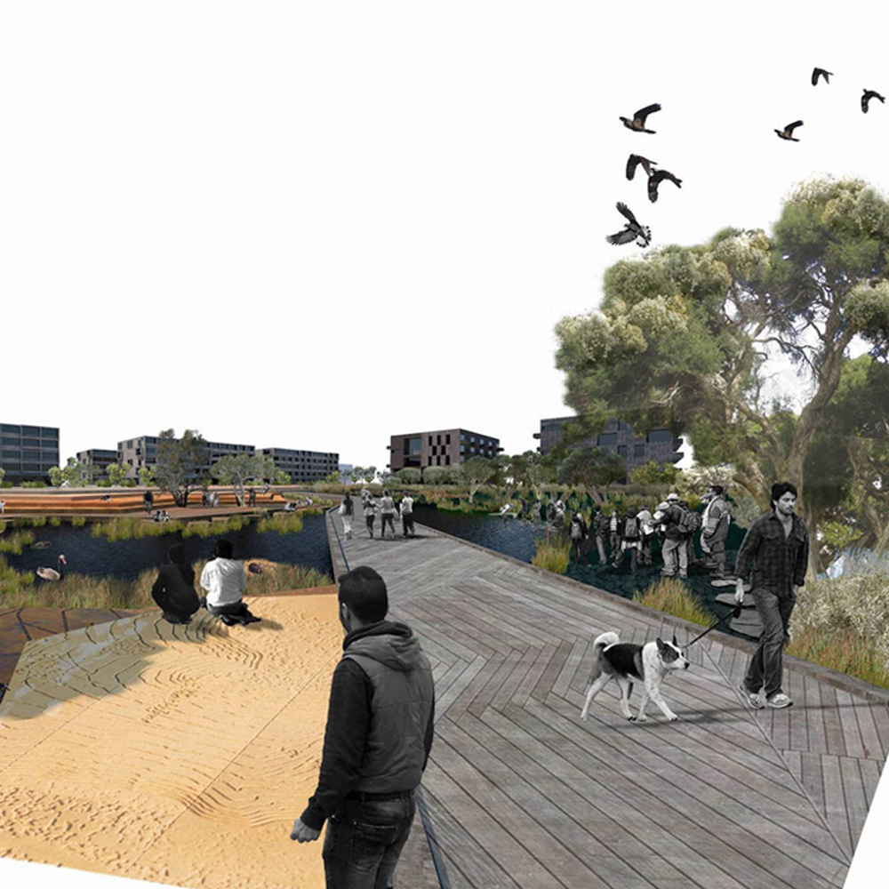 To and Fro Studio_Syrinx Living Knowledge Stream 2.png