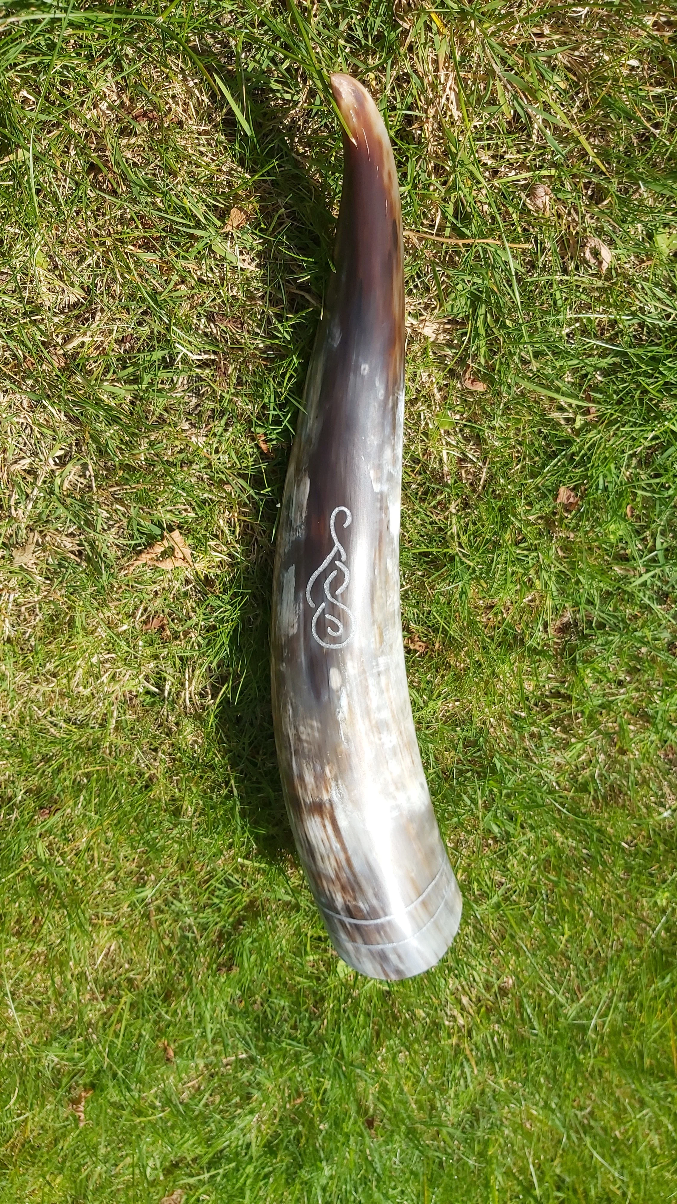 Silfr Drinking Horn