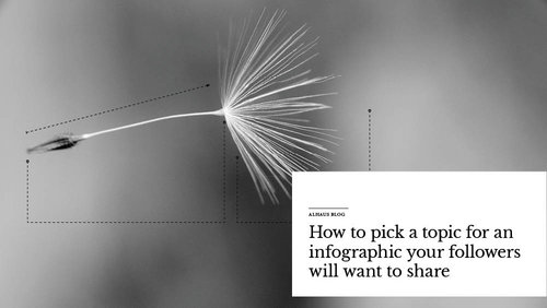'How+to+pick+a+topic+for+an+infographic+your+followers+will+want+to+share'+over+image+of+seed.jpeg