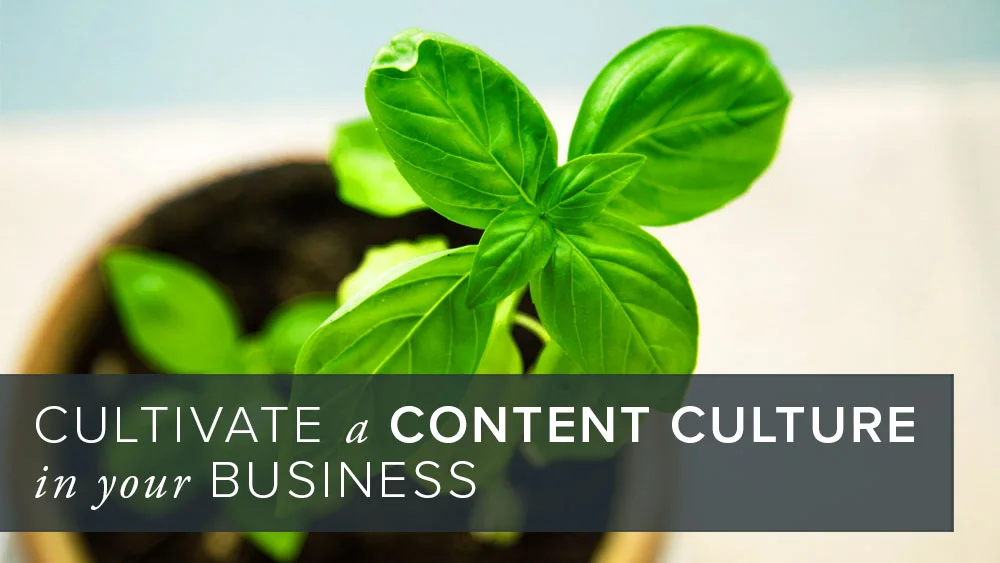 Cultivate a content culture in your business