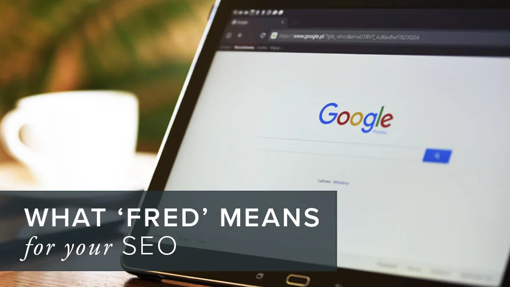 What ‘Fred’ means for your SEO