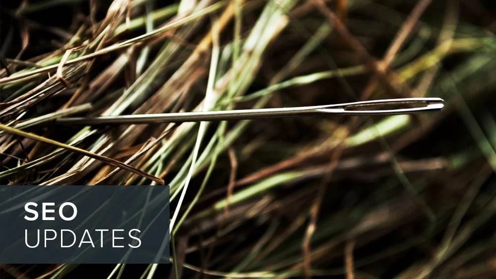 'seo+updates'+over+image+of+a+needle+on+dried+leaves.jpg