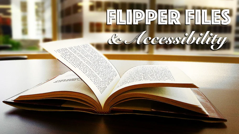 Flipper files and accessibility