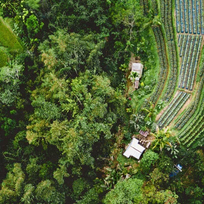 How Covid-19 will, and won’t, help the environment