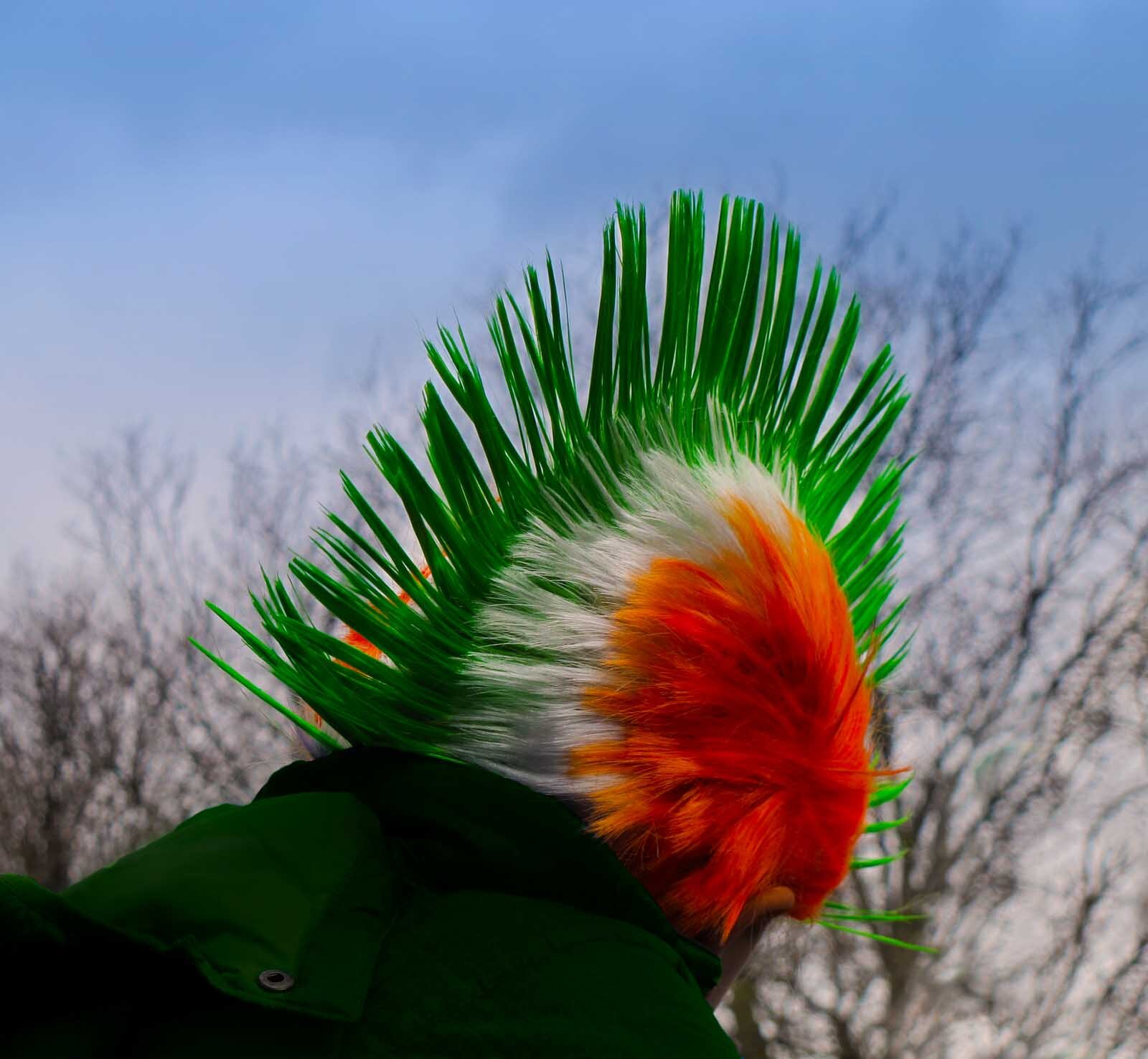 Flying the tricolour.jpeg