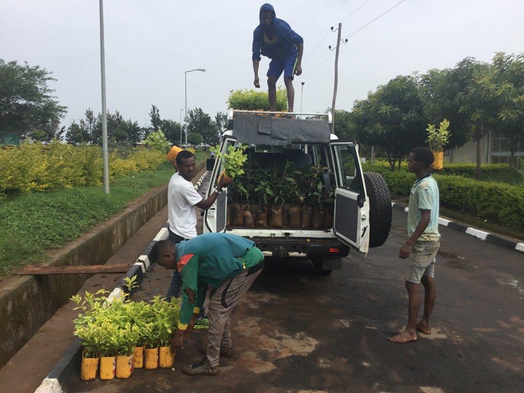 Collecting seedlings in the FGCF vehicle