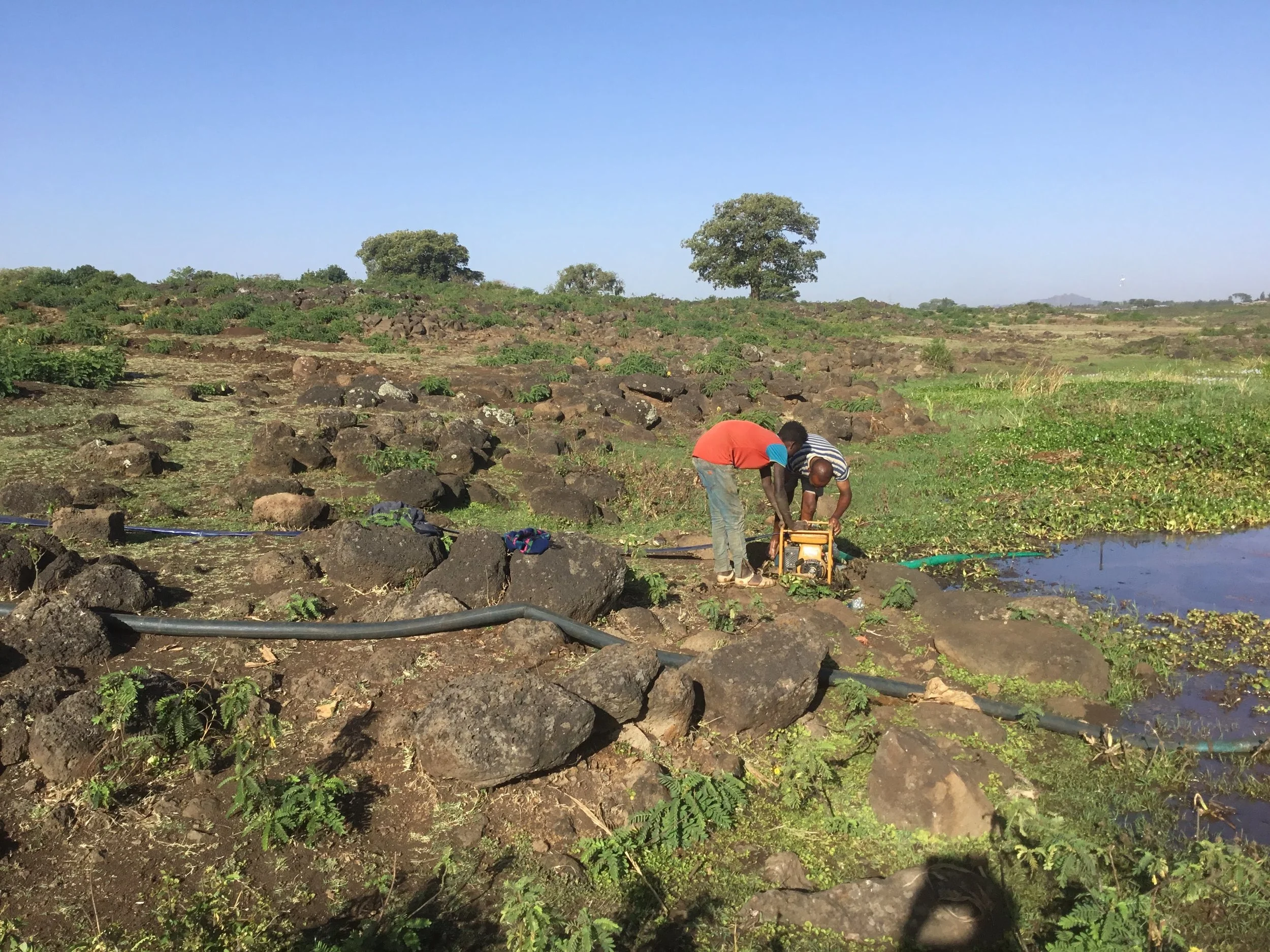 Water Source at Sebatamit