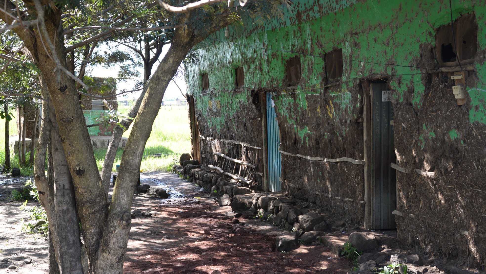 Tis Abay Primary School