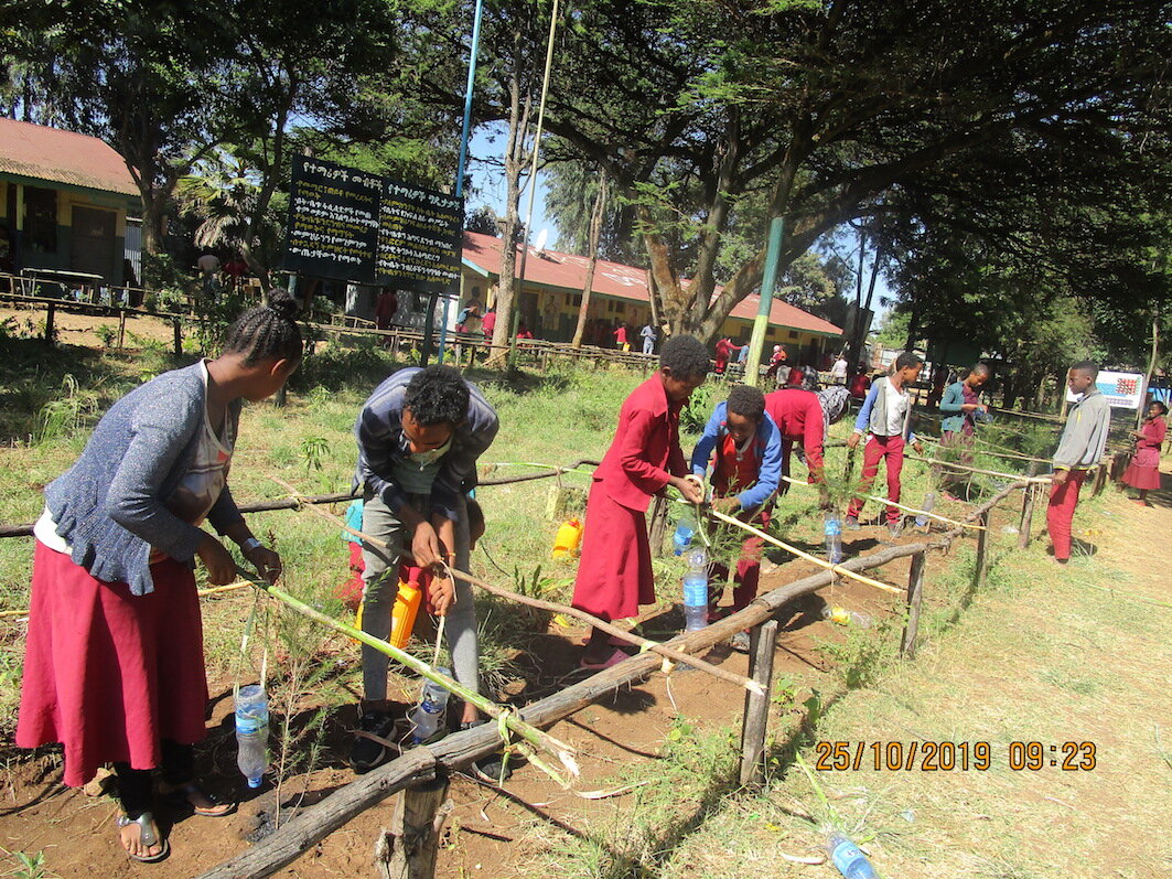 Debre Work Primary School