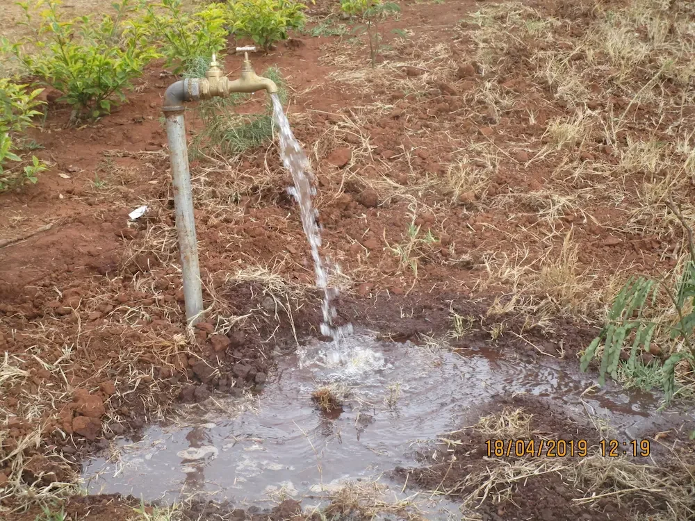 Sebatamit+water2.webp