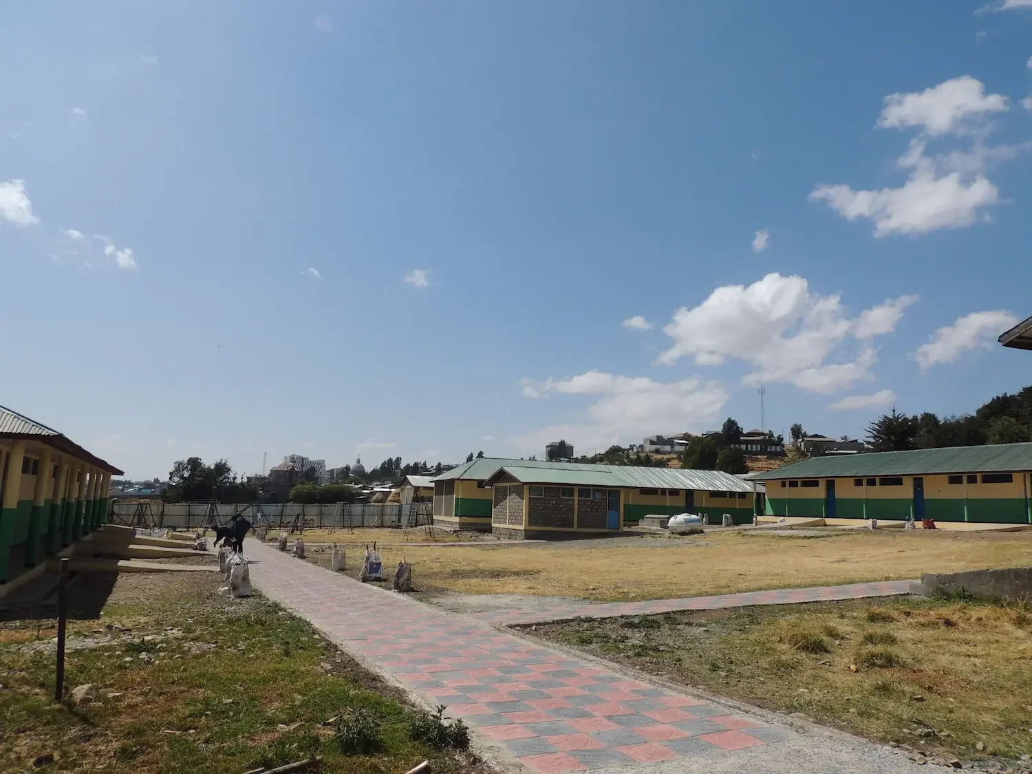 DSCN8366.webp
