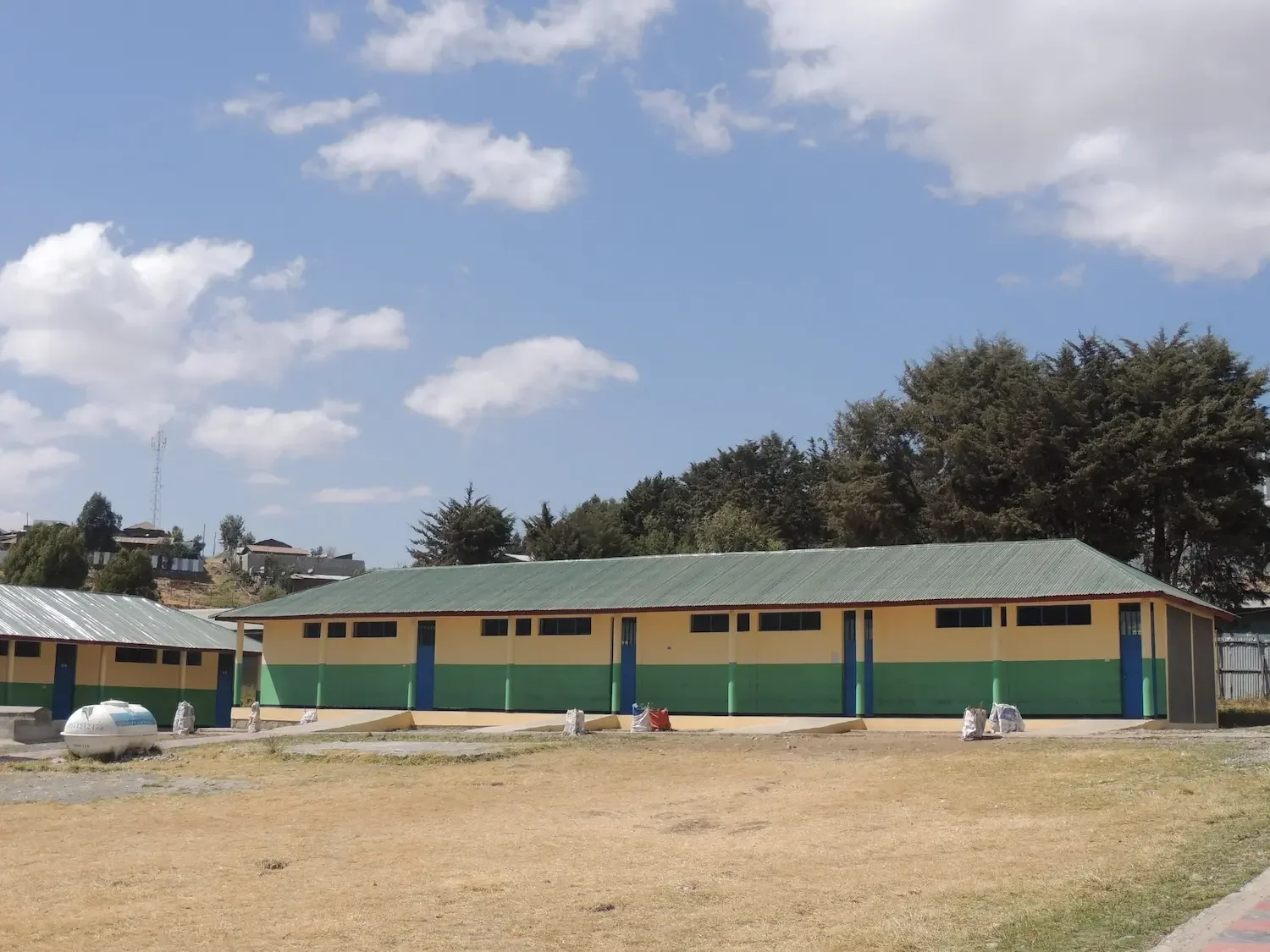 DSCN8372.webp