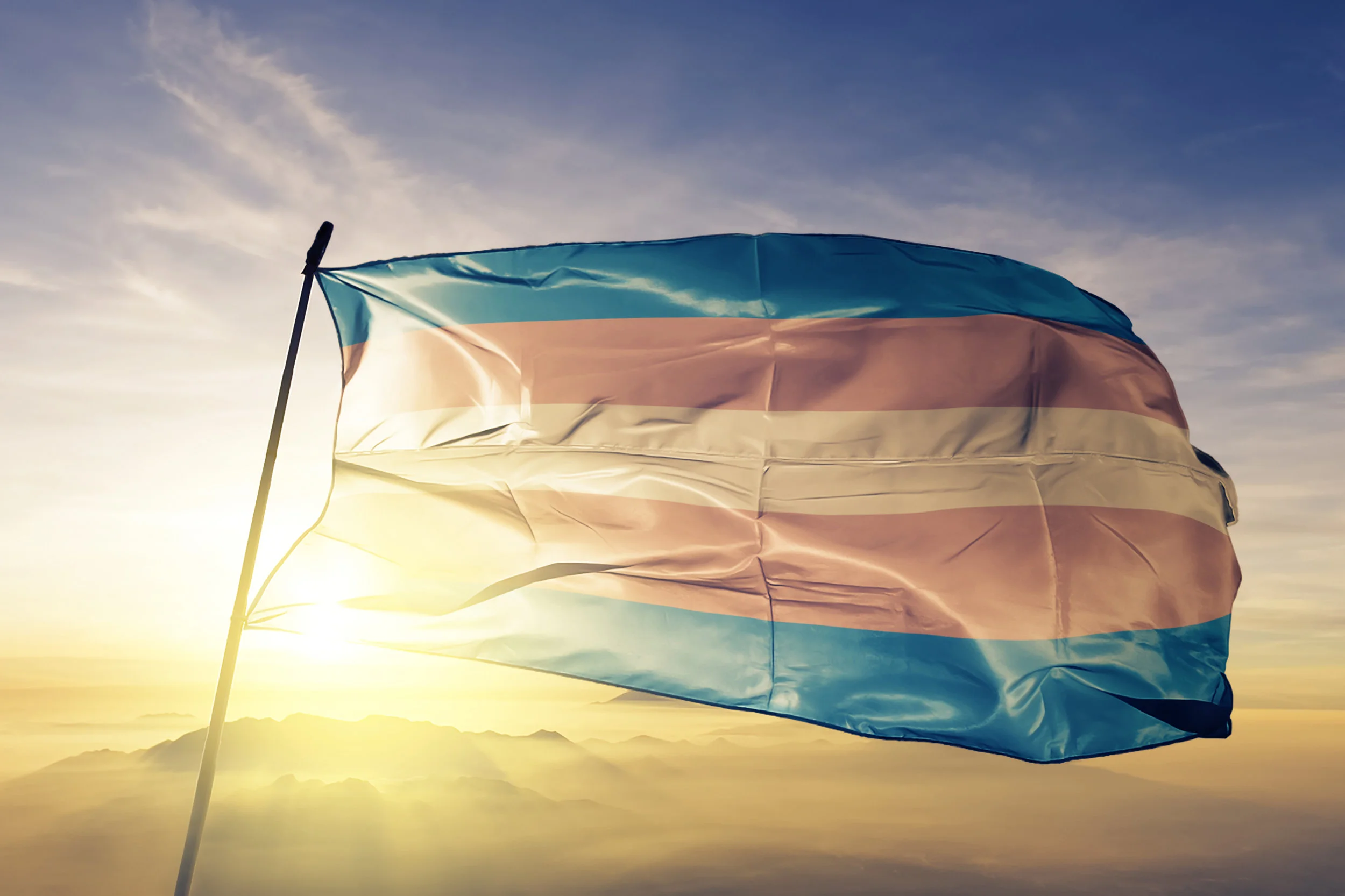 Trans flag.jpg