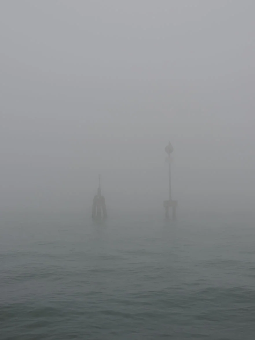 Nicola Lee La Nebia.ii.JPG