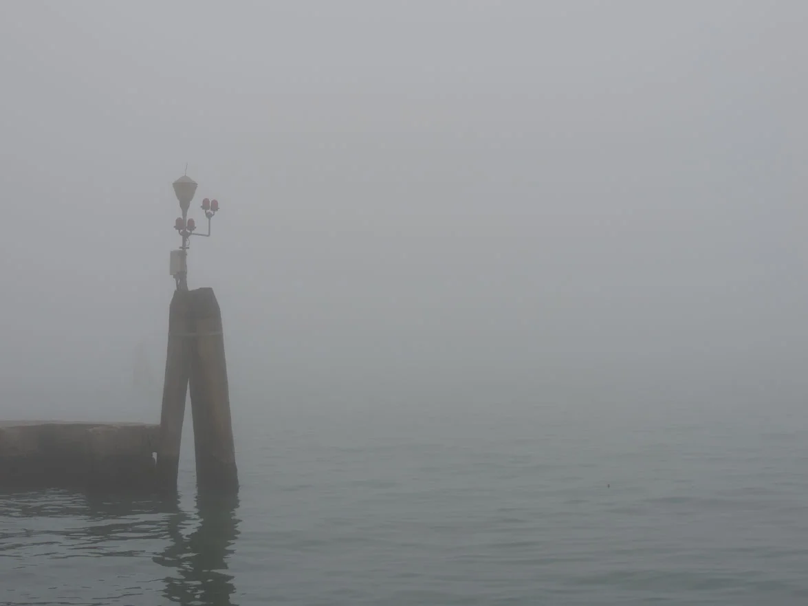 Nicola Lee. La Nebia. iii.JPG