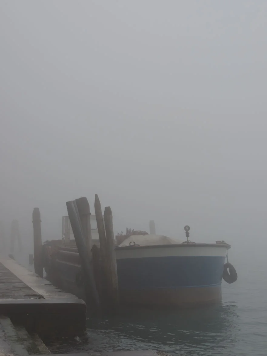 Nicola Lee. La Nebia. iv..JPG