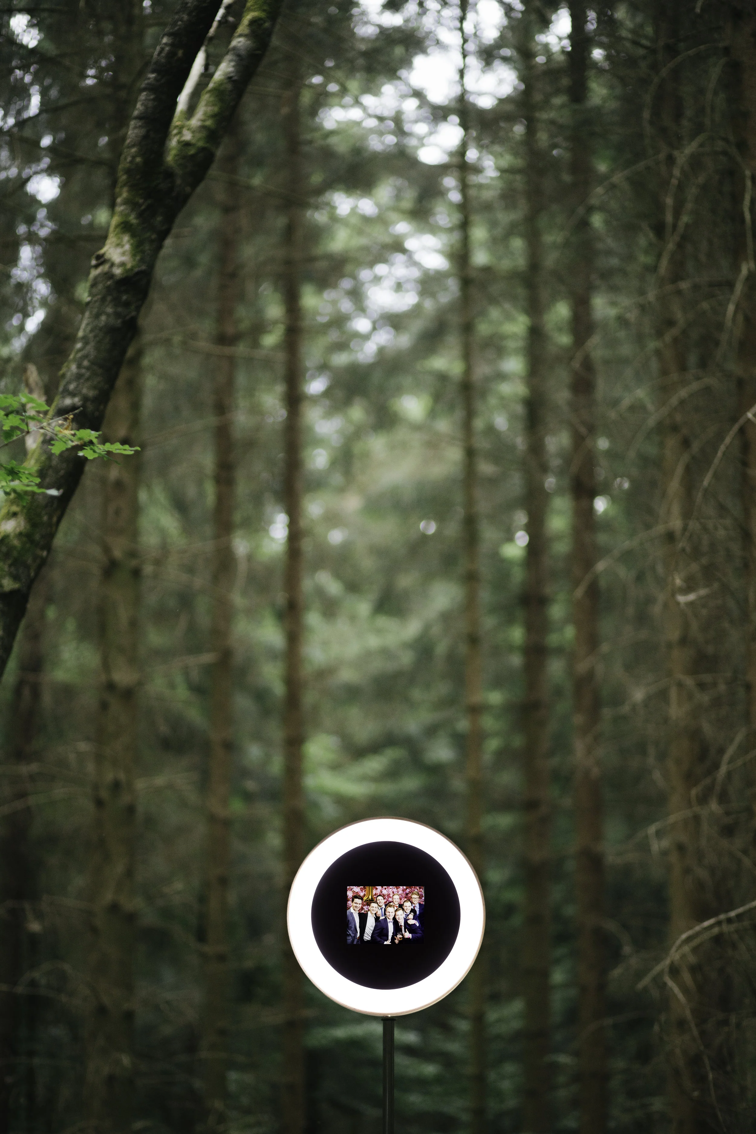 snapflix-neo-2.jpg