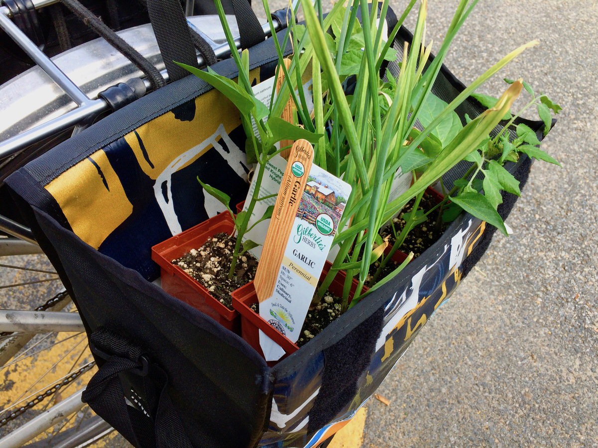Pedal-Ptown-Provincetown-MA-Bike-School-Class-Go-Shopping-By-Bike- pannier.jpg