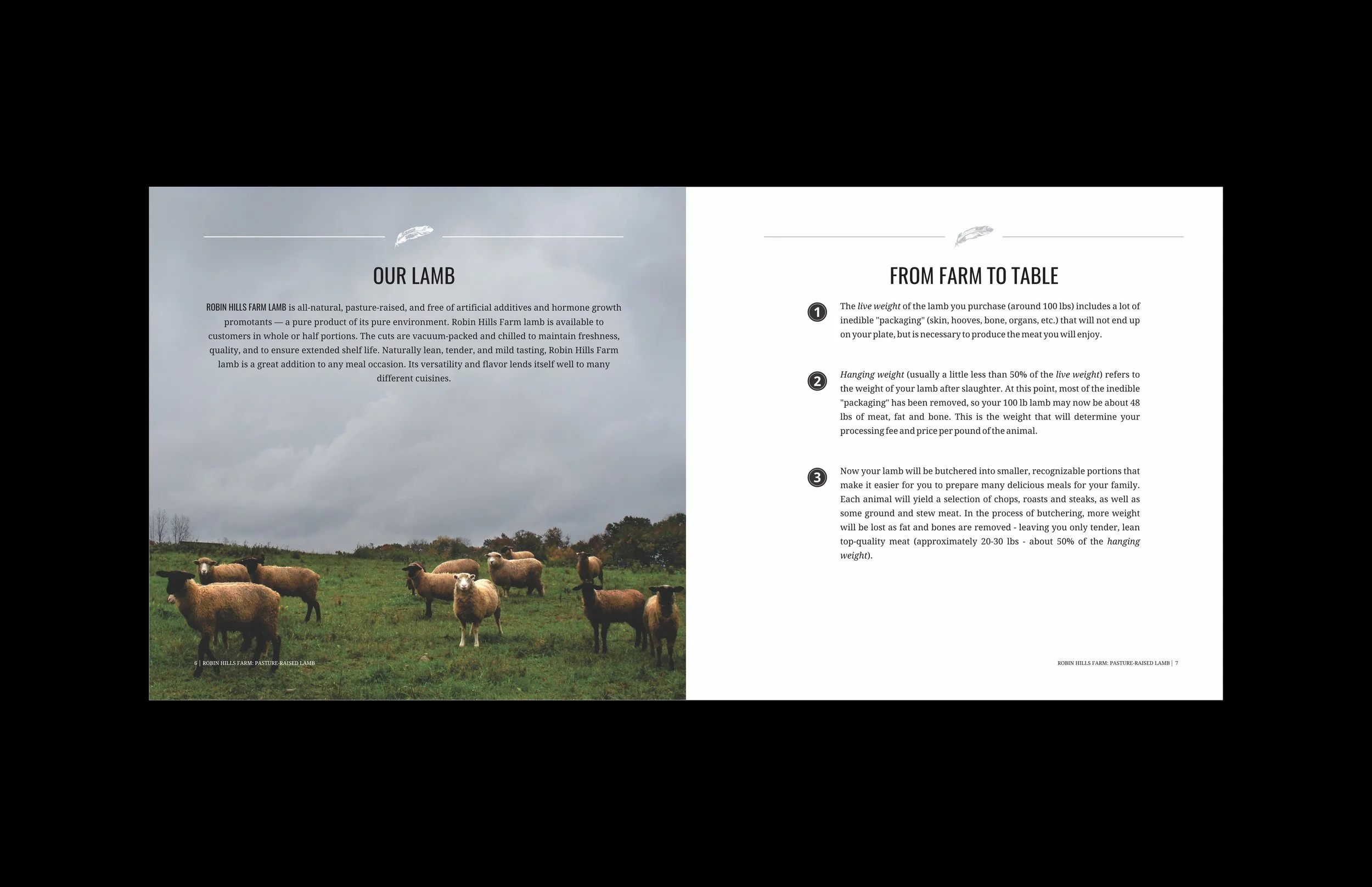 Lamb Book-2.jpg