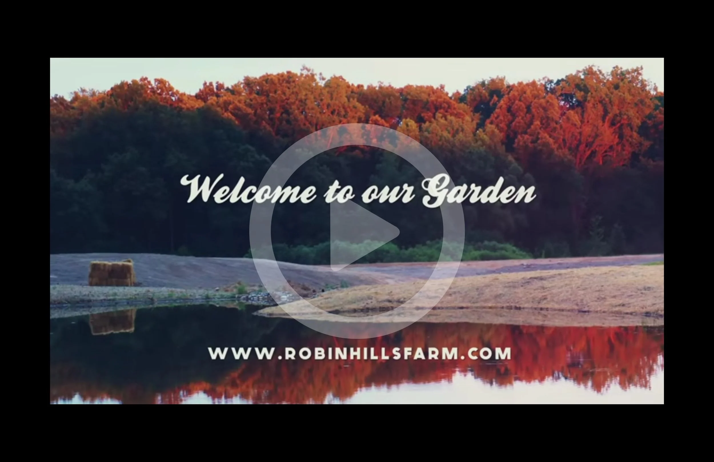 thumbnail-garden.jpg