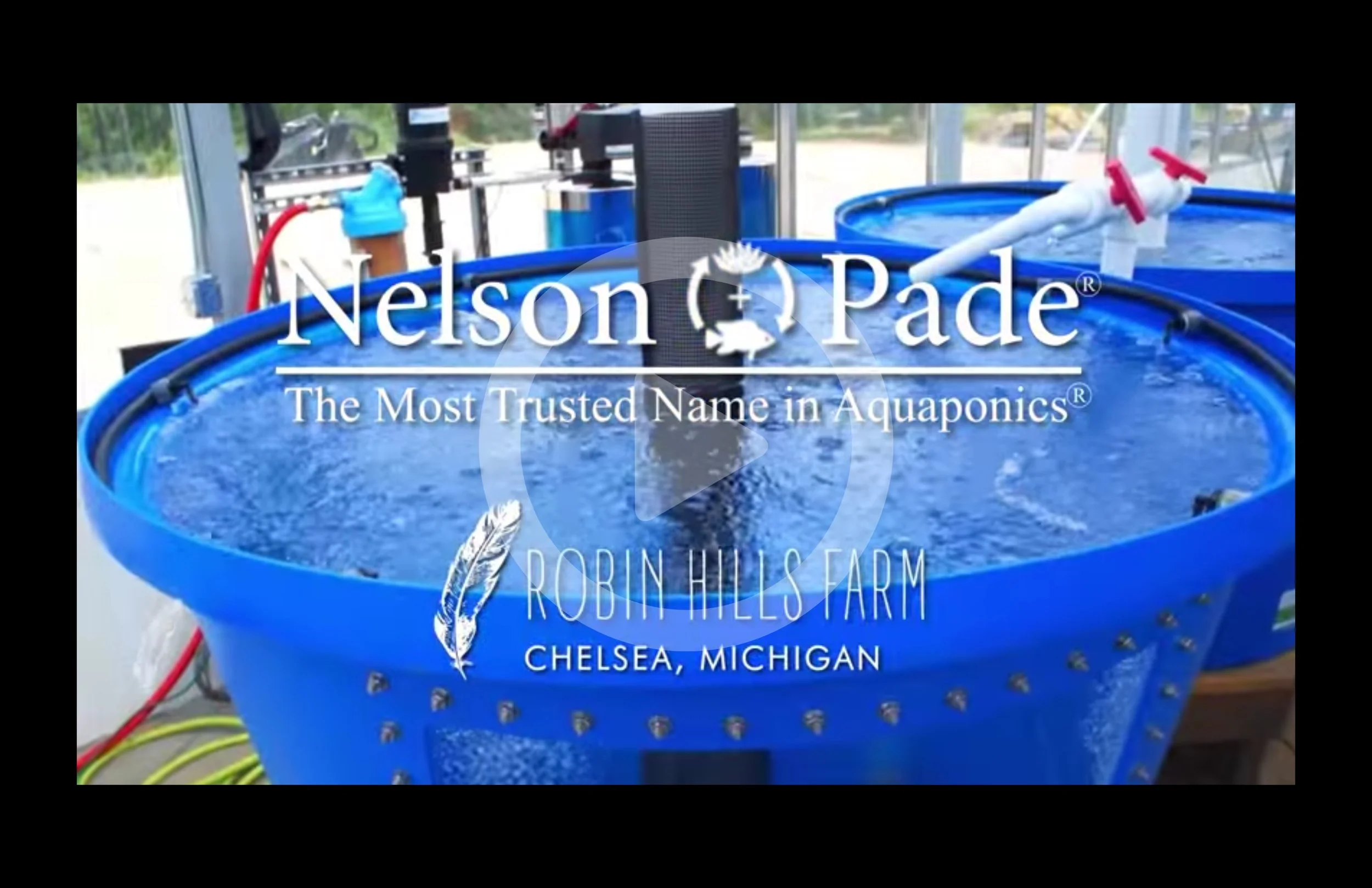 thumbnail-nelson.jpg