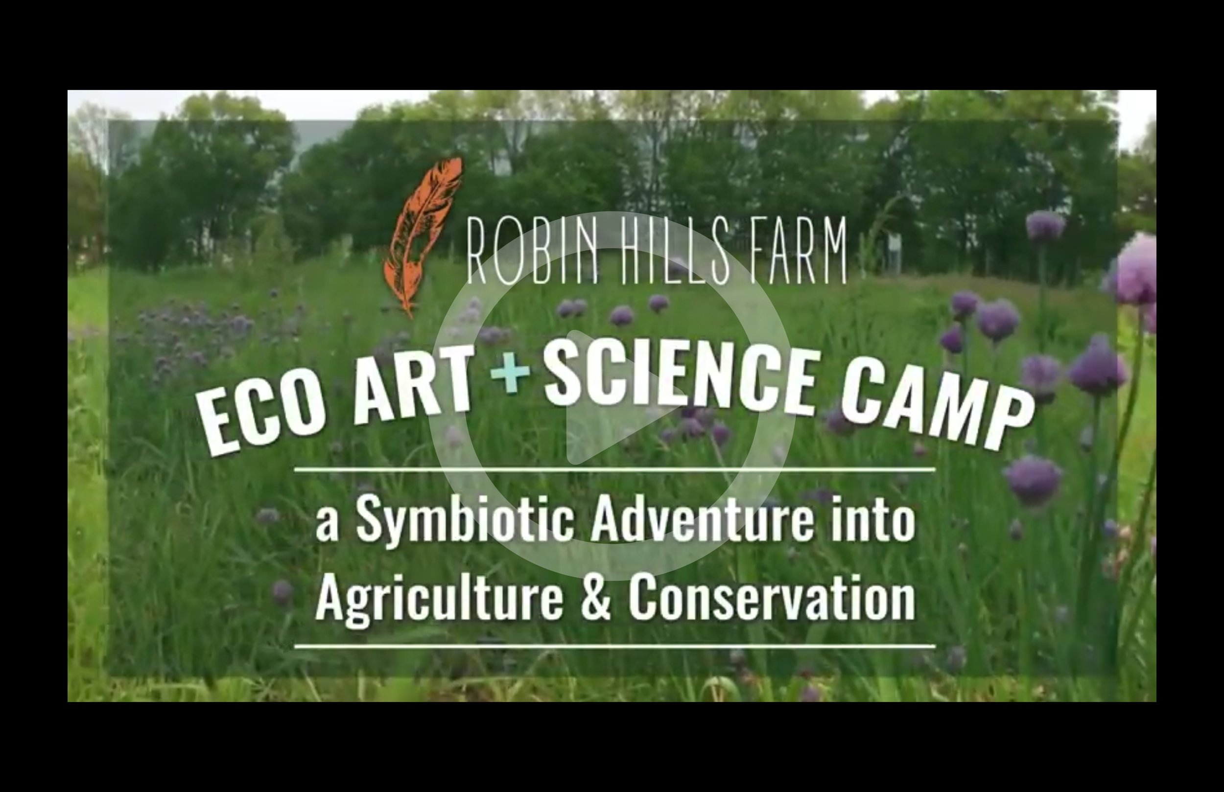 thumbnail-summercamp.jpg