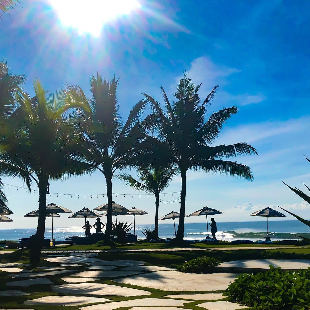 palm trees at beach club.jpg